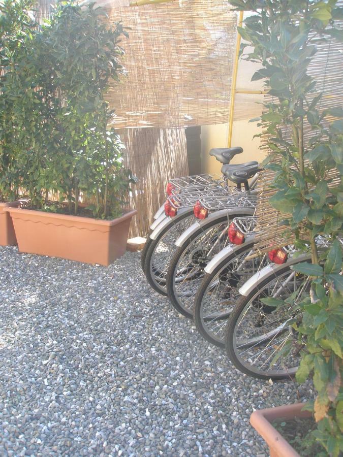 B&B La Rondine Tra Pisa E Lucca Сан-Джулиано-Терме Экстерьер фото